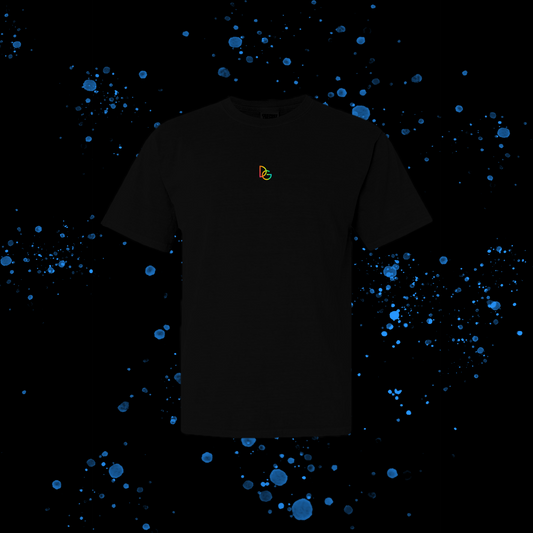 DG - T-shirt: Relaxed fit with rainbow embroidery in front